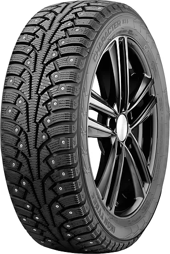 215/55/16 97T Ikon Tyres Character Ice 5  
