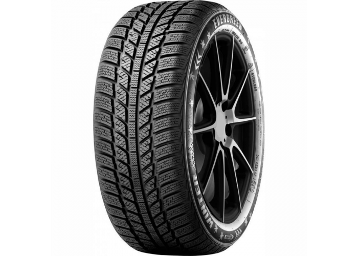 205/60/16 96H Evergreen EW62 -